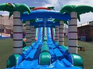 Aufblasbare Wasserrutsche-grünes/blaues Dia Selva-doppelte Wege PVCs mit Swimmingpool