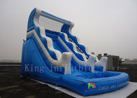 Spielplatz-Vergnügungspark-Wasserrutsche-blaue Farbim freien 1-jährige Garantie