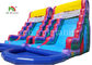 Plato PVC Double Inflatable Water Slide With Swimming Pool 1 Year Warranty