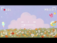 king27 Doppelspurige aufblasbare Wasserrutsche