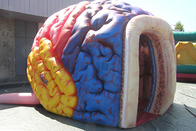 Aufblasbarer Mega- Brain Model Organs Exhibition Giant menschlicher großer Brain Tent