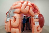 Aufblasbare Brain Model Tent Inflatable Medical-Konferenz-Ausstellungen - Mega- Gehirn