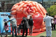 Aufblasbare Brain Model Tent Inflatable Medical-Konferenz-Ausstellungen - Mega- Gehirn