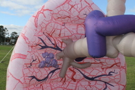 Riesige aufblasbare Lung Model Advertising For Medical-Ausstellungs-Ereignisse