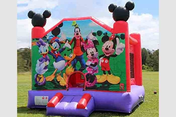 Kommerzielle Erwachsene Hüpfburgen Outdoor Party Indoor Sale Kind Aufblasbare Hüpfburg