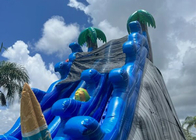 Große aufblasbare Wasserrutsche-blaue Handelsklasse-im Freien aufblasbare Wasserrutsche