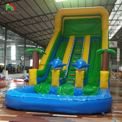 Doppelslide aufblasbare Wasserrutsche Palmbaum aufblasbare nasse Trockenrutsche für Kinder und Erwachsene