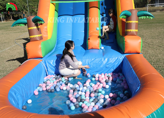 21x9x12FT Handelsqualität PVC Sprunghaus aufblasbare Wasserrutschen Tropische Rutsche mit Spritzer