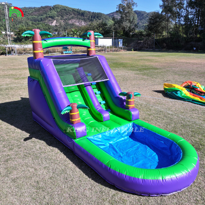 Kommerzielle PVC aufblasbare Wasserrutsche im Außengarten Kinder-Wasserrutsche mit größerem Wasser-Spritzbecken und 1100W-Blower