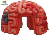 Aufblasbare Gehirn-Replik-künstliche Organe des Riese-4m für pädagogischen SGS EN71