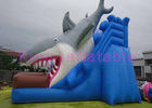 EN14960 aufblasbares trockenes Dia für Kinder, blaues doppelter Stich-aufblasbares Haifisch-Dia