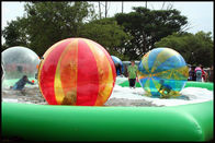 Misch-Farbe-2m Durchmesser kundengebundenes PVC Wak auf Wasser-Ball für Wasser-Park