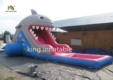 6m hoher Haifisch-aufblasbare Wasserrutsche mit Pool/kleinem Explosions-Dia für Kinder
