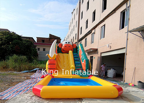 9m lange aufblasbare Affe-Wasserrutsche mit entfernbarem Pool