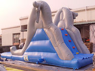 Kommerzielles aufblasbares Wasserrutsche-Pool für Kinderunterhaltungs-Spiele